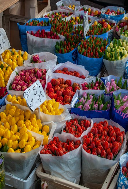 A vibrant display of fresh tulip bouquets arranged in open paper wrapping, featuring bright yellow, pink, red, orange, and purple blooms. The tulips are tightly packed together, showcasing their smoot
