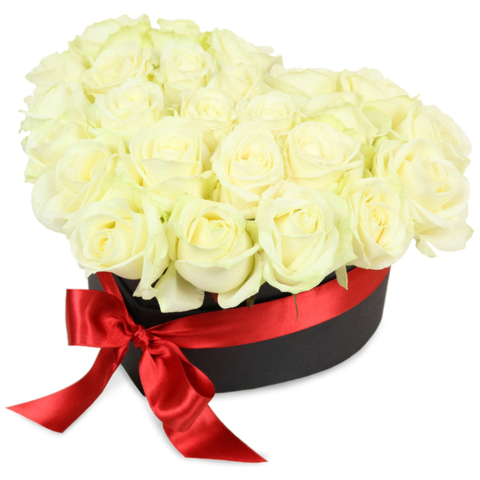 From the floral ateliers of South Ruislip, this elegantly heart-shaped arrangement offers a symphony of white roses-each one placed with an artisan's dedication. The bouquet features around two dozen creamy blooms, some still tightly closed, others softly unfurling to reveal gentle shades of ivory and fresh green at their bases. These meticulously sorted roses form a domed canopy that fills the matte black hatbox, the container's simple lines offering a bold counterpoint to the intricacy of the petals. A vibrant, wide satin ribbon in glossy red encircles the base, culminating in a showy bow that graces the front-left side, its long ends trailing down to add a flare of celebratory drama. Bathing in soft, even illumination and isolated against a gleaming white backdrop, the bouquet's textures and contrasts come to life, hinting at the subtle fragrance that only the freshest roses can offer. This display speaks to moments both joyous and tender, making it an exceptional gift for weddings, anniversaries, or as a meaningful expression of sympathy delivered anywhere in South Ruislip-from residential streets near Deane Park to bustling shops along Field End Road. Each element-flower, ribbon, and box-echoes a sense of refined taste, warmth, and heartfelt sentiment that exemplifies the local floristry tradition.