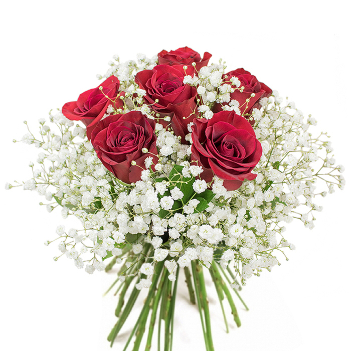 Against a pure white background, this South Ruislip bouquet emerges as a refined statement of love and appreciation, crafted by expert hands from the heart of the community. Six luminous red roses stand boldly at the arrangement's centre, their petals deeply saturated and elegantly unfurled in soft, spiral arcs. Each rose communicates passion and affection, echoing the spirit of family gatherings and cherished milestones along Victoria Road or near Deane Park. Surrounding these resplendent blooms, a generous flourish of snowy baby's breath rolls outward, its tens of tiny blossoms creating an airy, frosted halo that tempers and highlights the bold reds. The Gypsophila's delicate texture brings a gentle softness, reminiscent of a light breeze over Ruislip Lido, and offers a calming visual pause amid the arrangement's richness. The bouquet's green stems are bundled securely, visible at the base and testifying to the professional touch and careful selection characteristic of South Ruislip florists. Every floral choice-rose and Gypsophila alike-is made with the intent to inspire joy and warmth, whether gracing a family celebration or brightening a friend's day. The result is a composition that blends classic romantic sentiment with the welcoming energy of the Ruislip community, suitable for anniversaries, Valentine's surprises, or any occasion that calls for beauty and grace delivered to your South Ruislip doorstep.