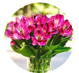 Same day Flowers South Ruislip